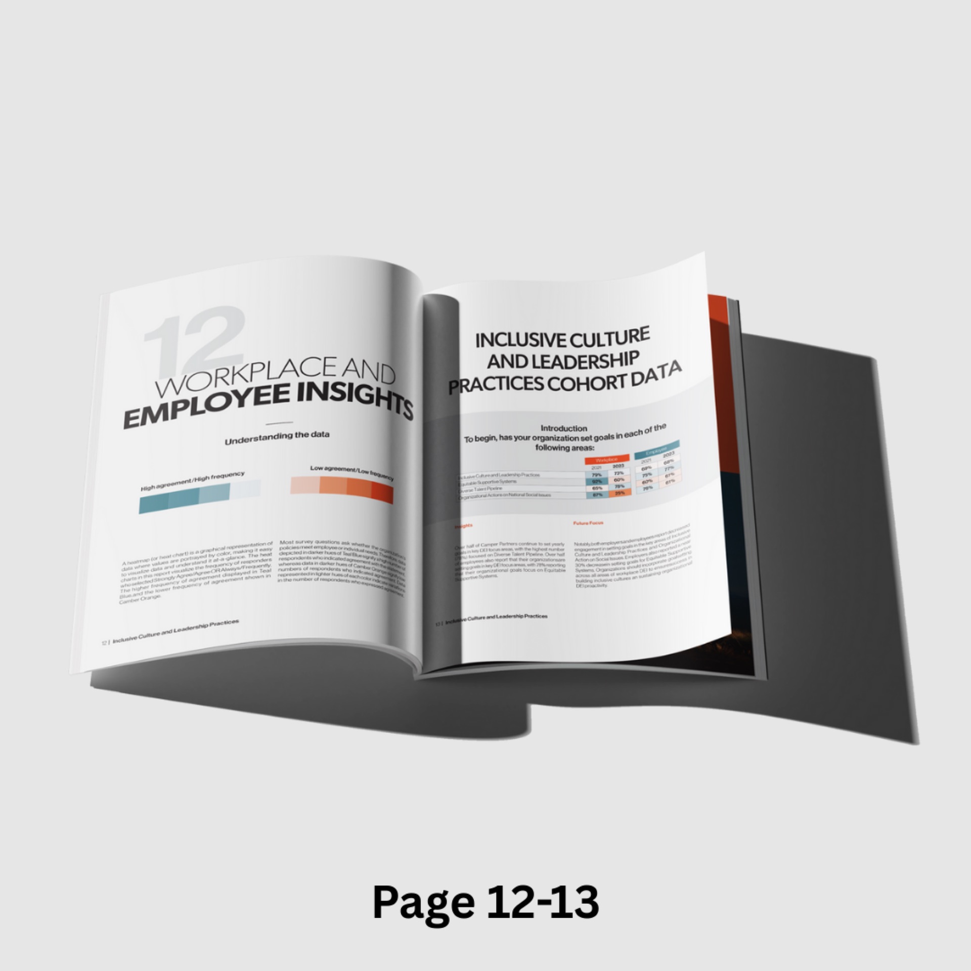 Camber Outdoors workplace insights report — pages 12-13